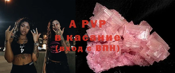 стаф Абинск
