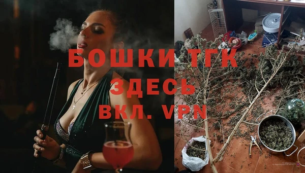 стаф Абинск