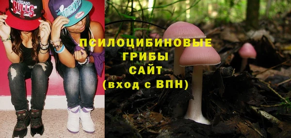ПСИЛОЦИБИНОВЫЕ ГРИБЫ Абаза
