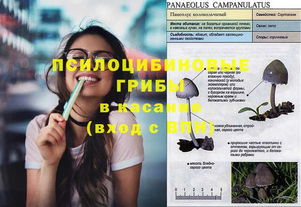 стаф Абинск